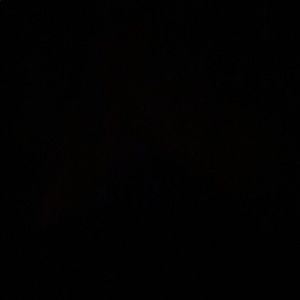 Meet your Posher, Avery